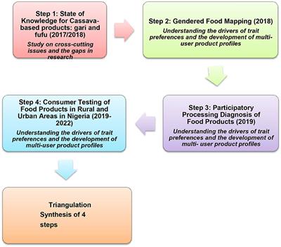 Gender-inclusive consumer studies improve cassava breeding in Nigeria